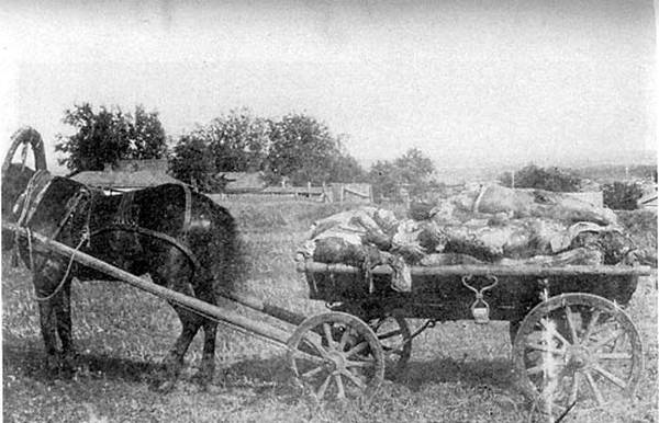 Kharkiv - Carcóvia - Cadáveres empilhados em uma carroça